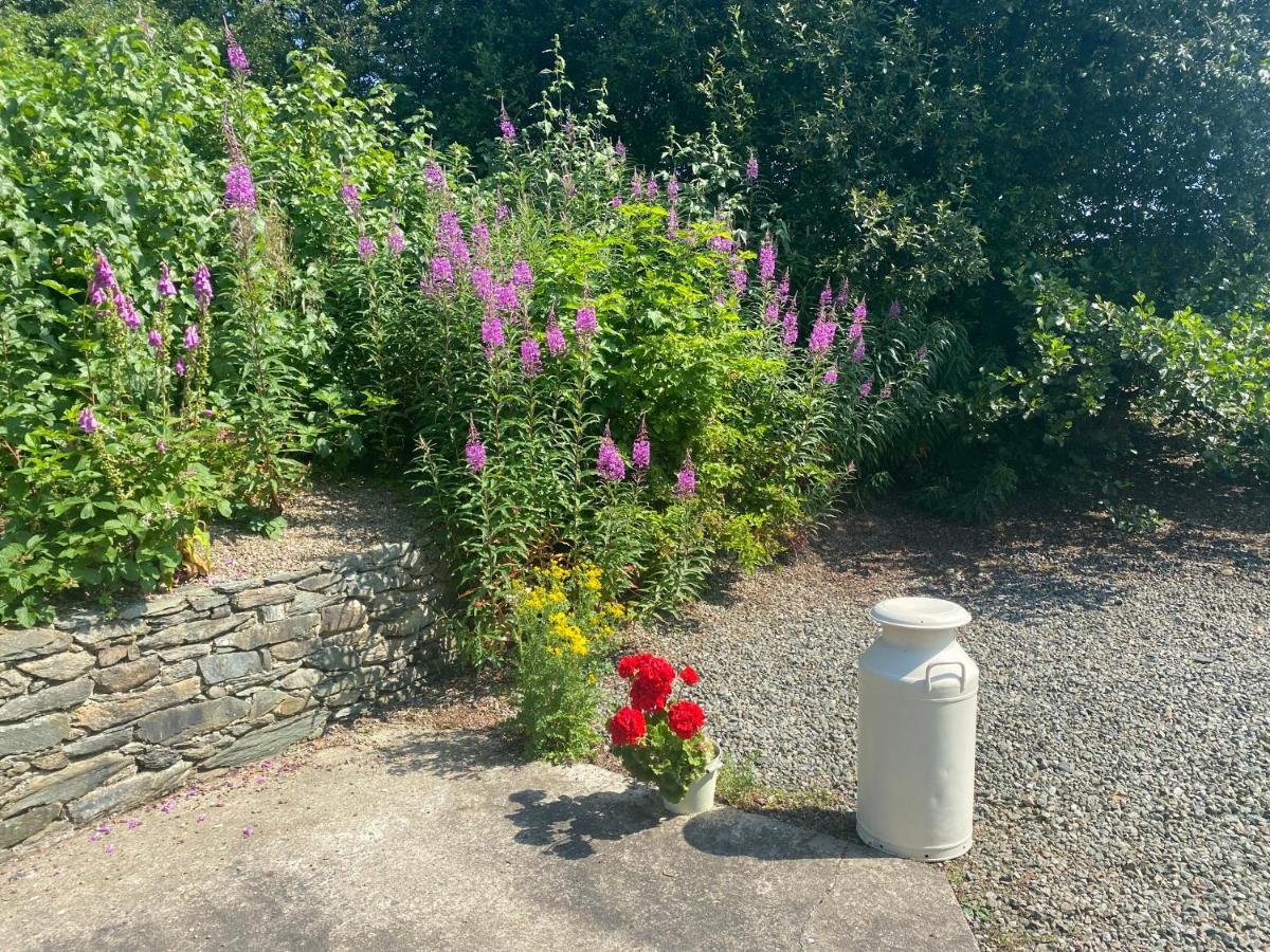 Hawthorn Cottage 그린캐슬 외부 사진