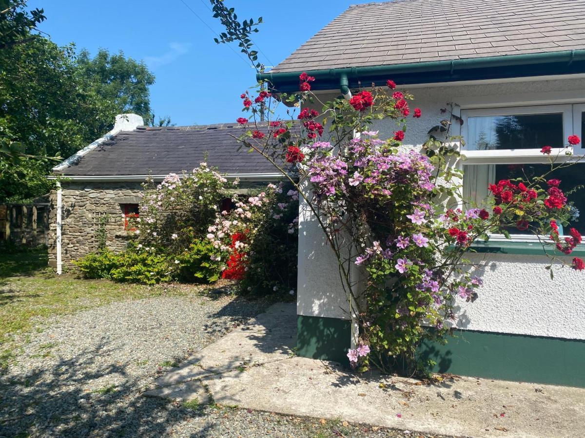 Hawthorn Cottage 그린캐슬 외부 사진